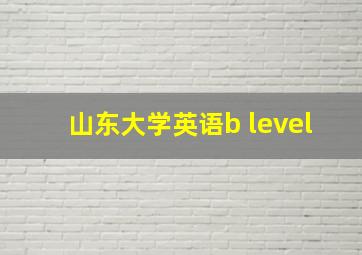 山东大学英语b level